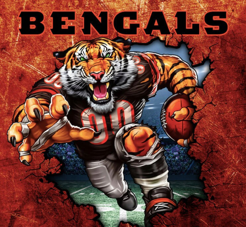 Bengals tumbler